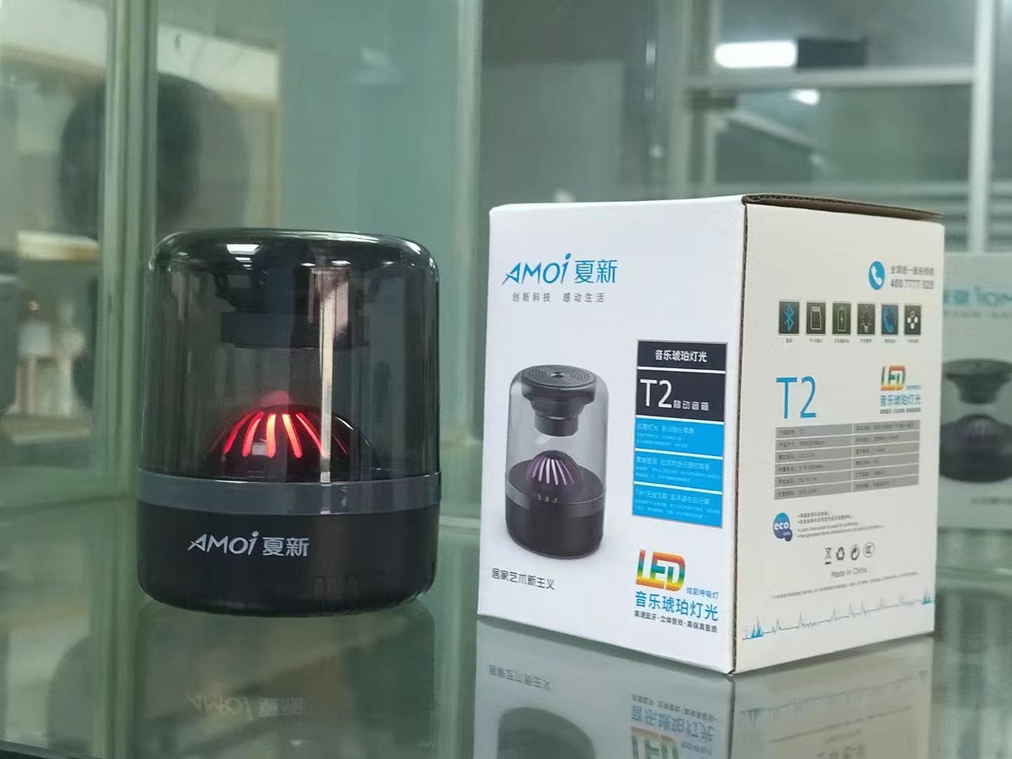 Affordable TWS Speaker with LED Light & Mic，Low cost BT speaker AMOI T2 Liqudation wholesale 